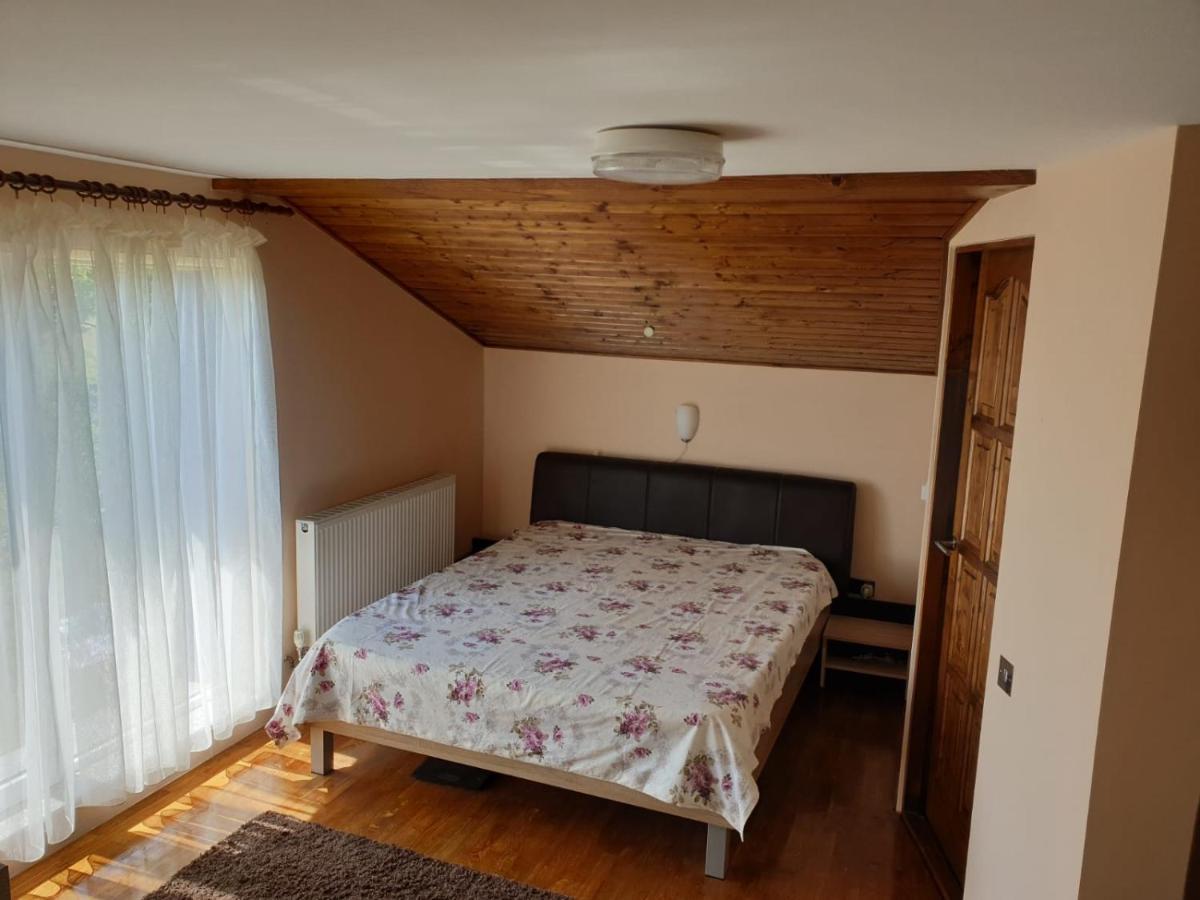 Lidia House Διαμέρισμα Άλμπα Ιούλια Εξωτερικό φωτογραφία
