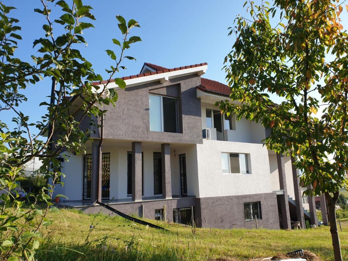 Lidia House Διαμέρισμα Άλμπα Ιούλια Εξωτερικό φωτογραφία