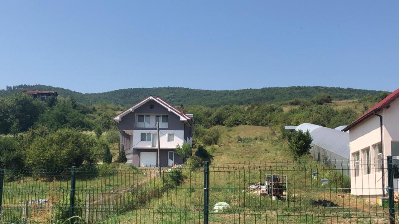Lidia House Διαμέρισμα Άλμπα Ιούλια Εξωτερικό φωτογραφία