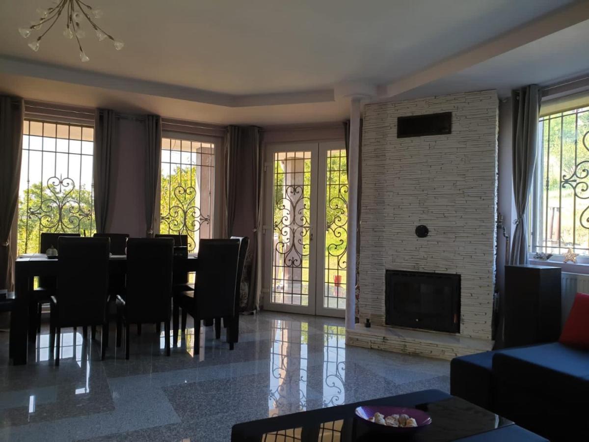 Lidia House Διαμέρισμα Άλμπα Ιούλια Εξωτερικό φωτογραφία