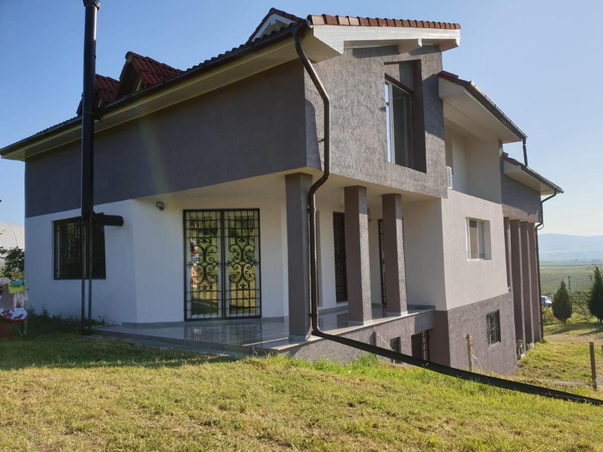 Lidia House Διαμέρισμα Άλμπα Ιούλια Εξωτερικό φωτογραφία