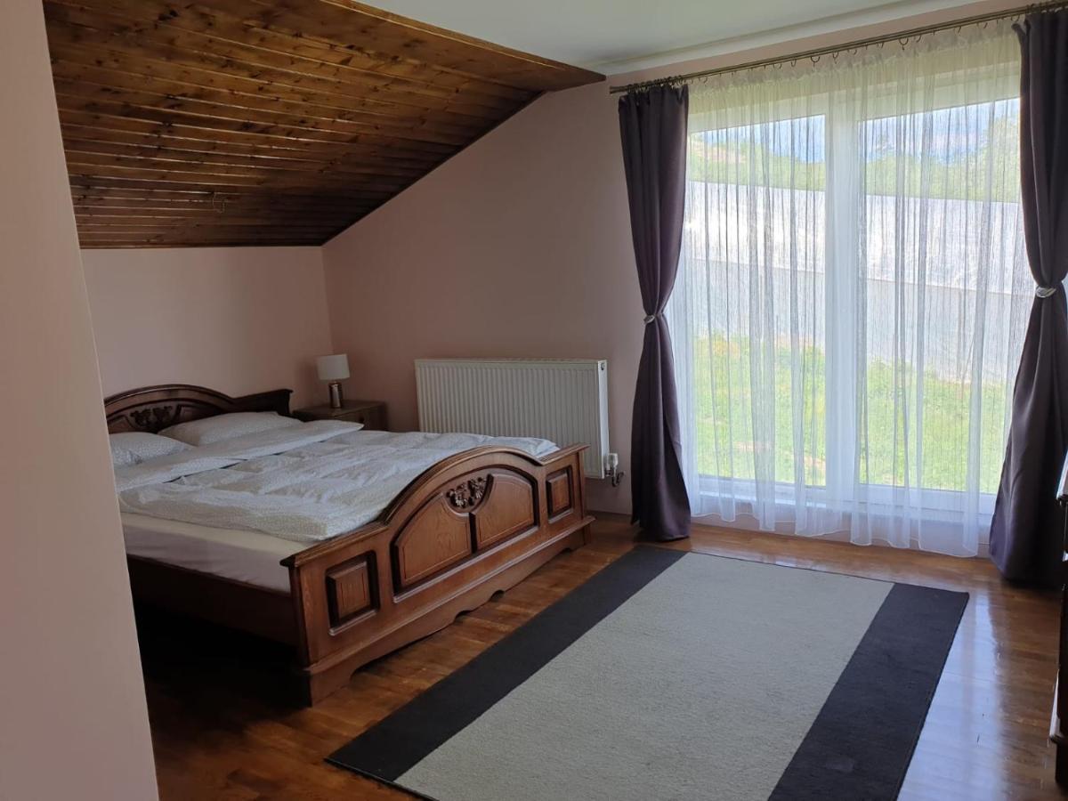 Lidia House Διαμέρισμα Άλμπα Ιούλια Εξωτερικό φωτογραφία