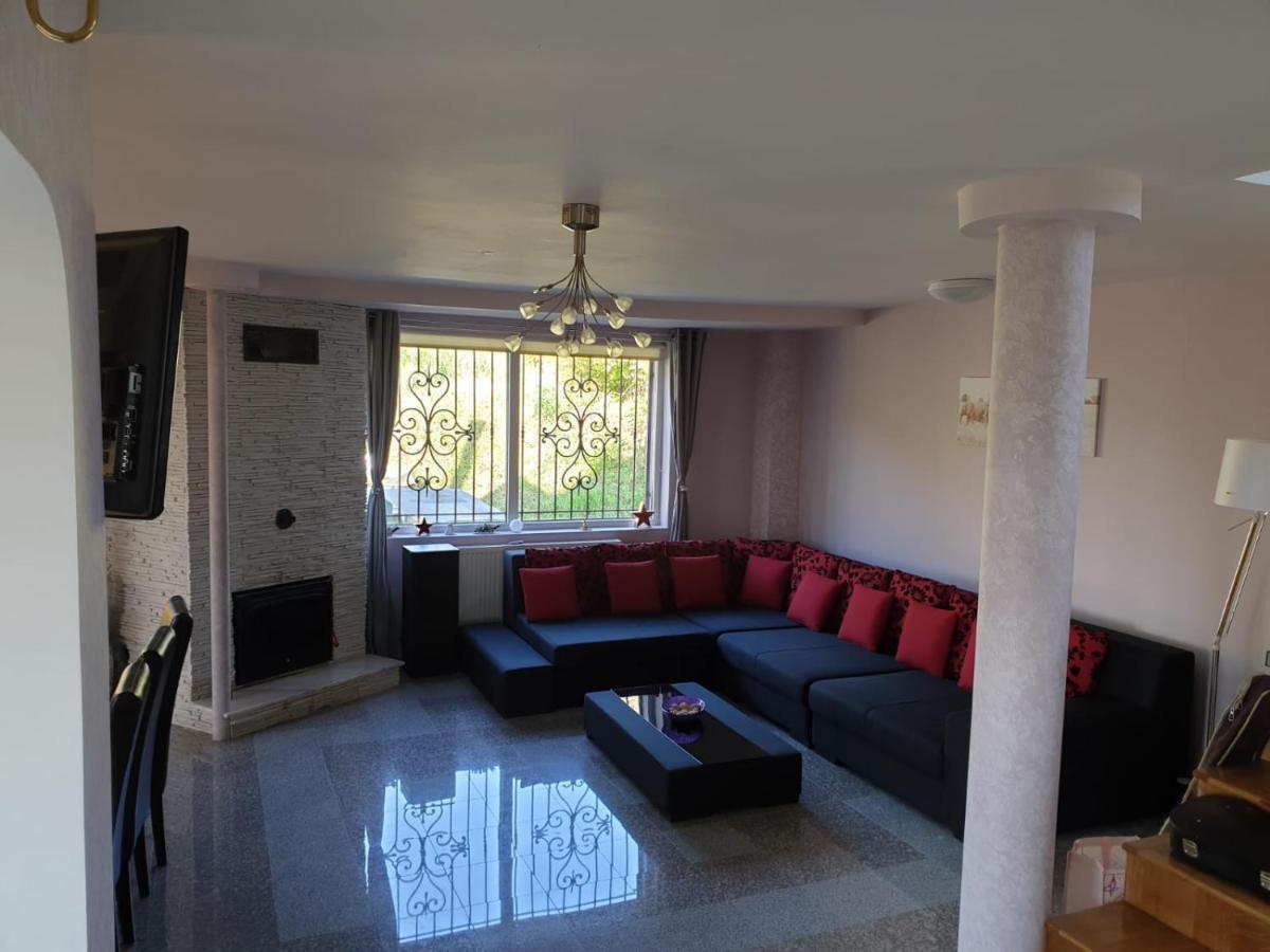 Lidia House Διαμέρισμα Άλμπα Ιούλια Εξωτερικό φωτογραφία